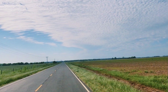 Top Books by Cormac McCarthy