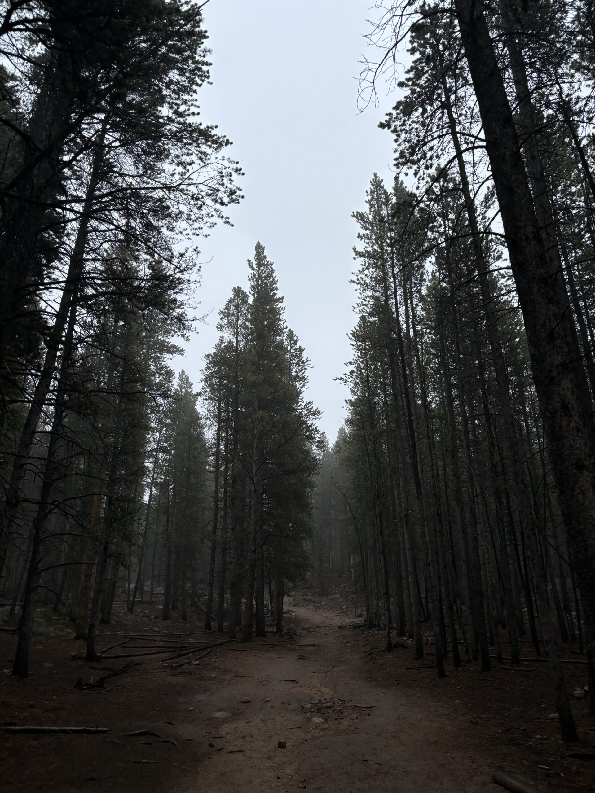 The Best Stories by Edgar Allan Poe