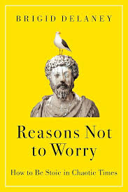 Reasons Not to Worry by Brigid Delaney