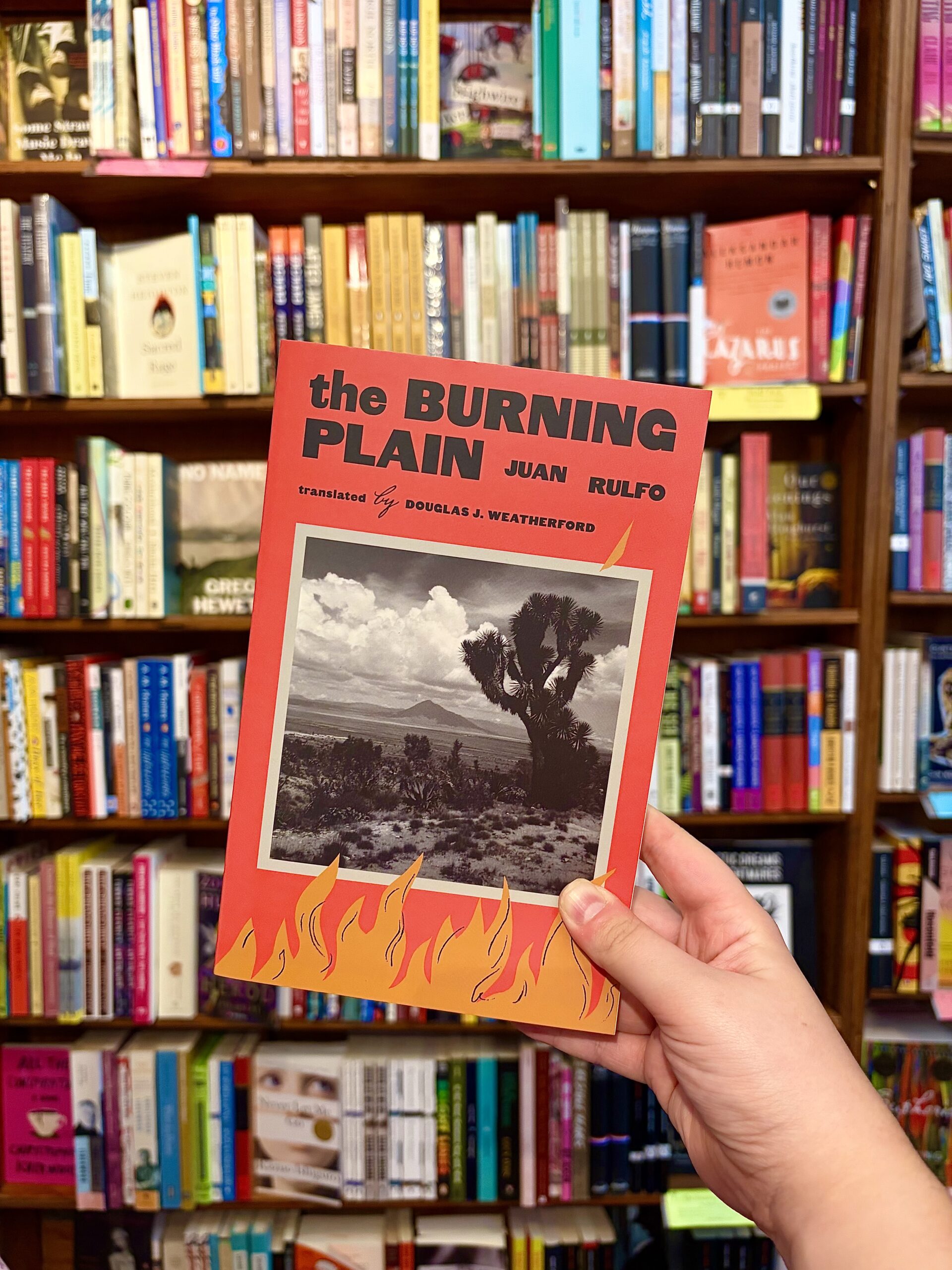 Best Short Stories by Juan Rulfo